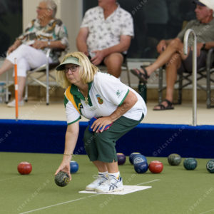 Bowls 3050572