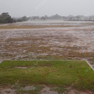 CedunaRain 3052038