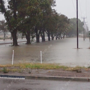 CedunaRain 3052040