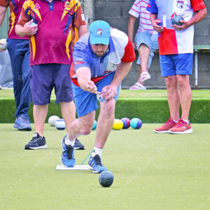 bowls 3051330