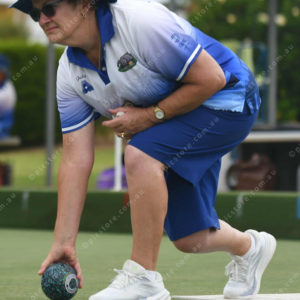 lawnbowls 3052993